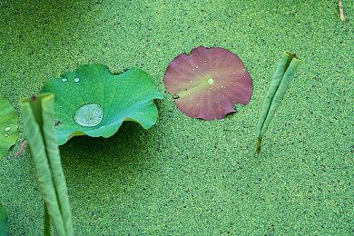 Newzoo：PC游戏市场去年增长远大于主机游戏